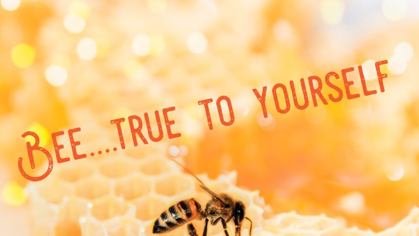Bee…….true to yourself